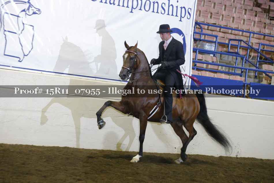 Proof 15R11_07955