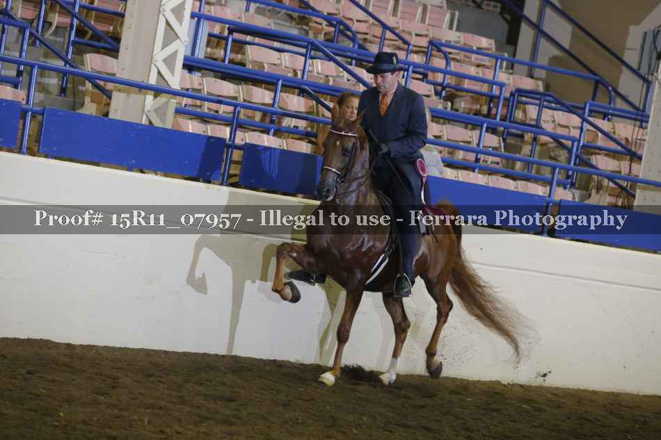 Proof 15R11_07957