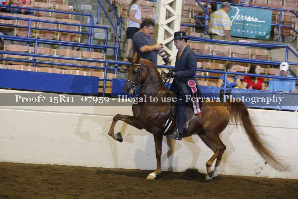 Proof 15R11_07959