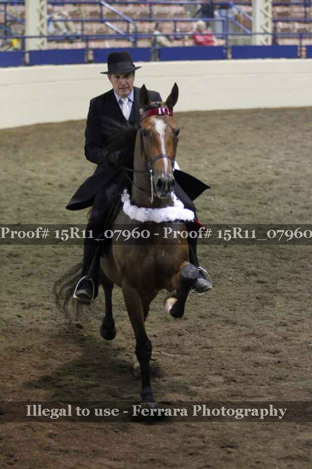 Proof 15R11_07960