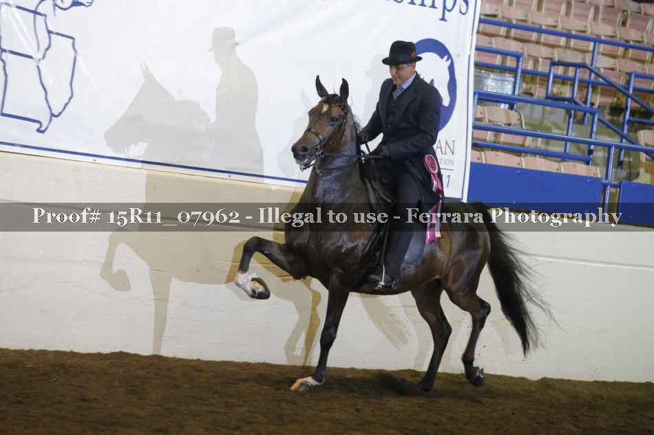 Proof 15R11_07962