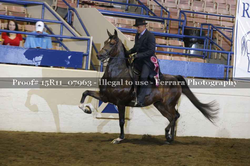 Proof 15R11_07963