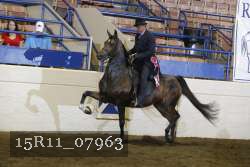 15R11_07963 proof