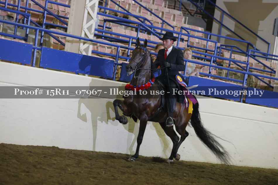 Proof 15R11_07967