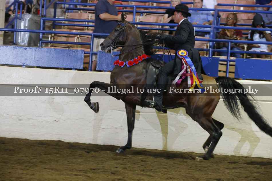 Proof 15R11_07970