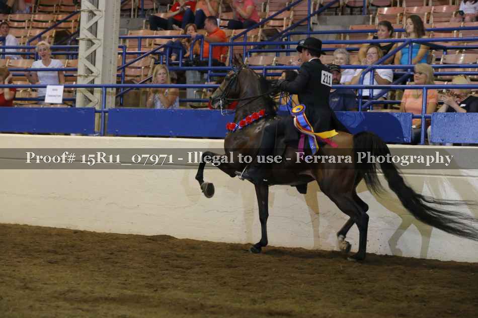 Proof 15R11_07971