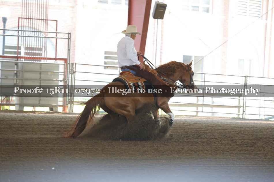 Proof 15R11_07972