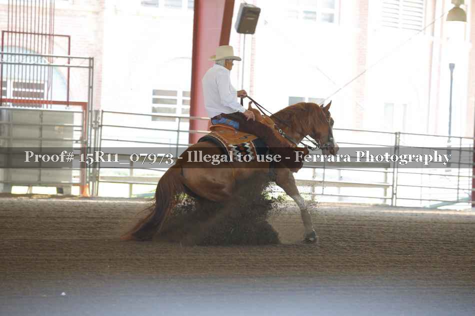 Proof 15R11_07973