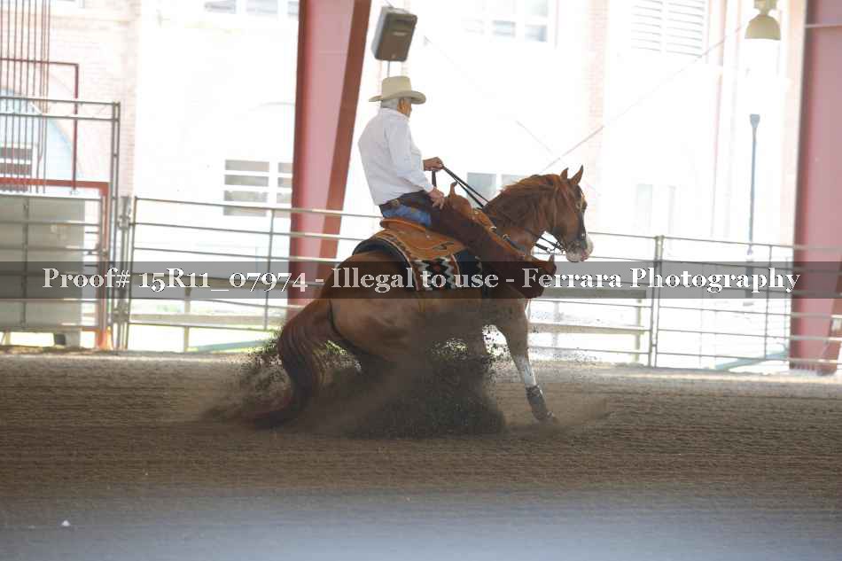 Proof 15R11_07974