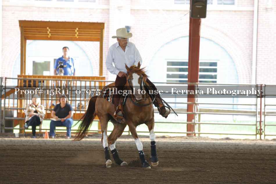 Proof 15R11_07975