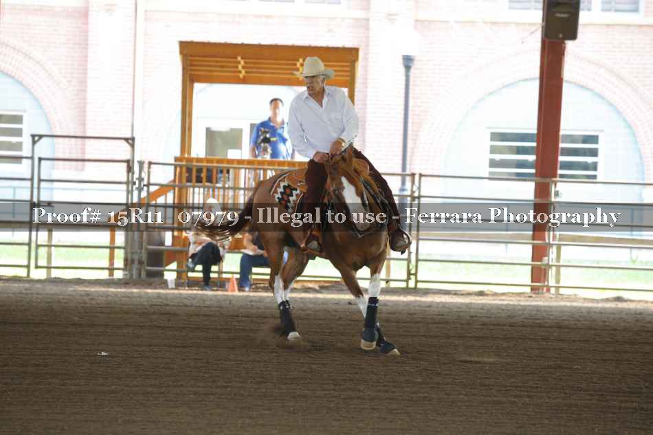 Proof 15R11_07979