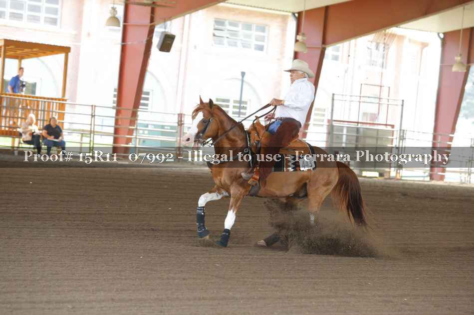 Proof 15R11_07992
