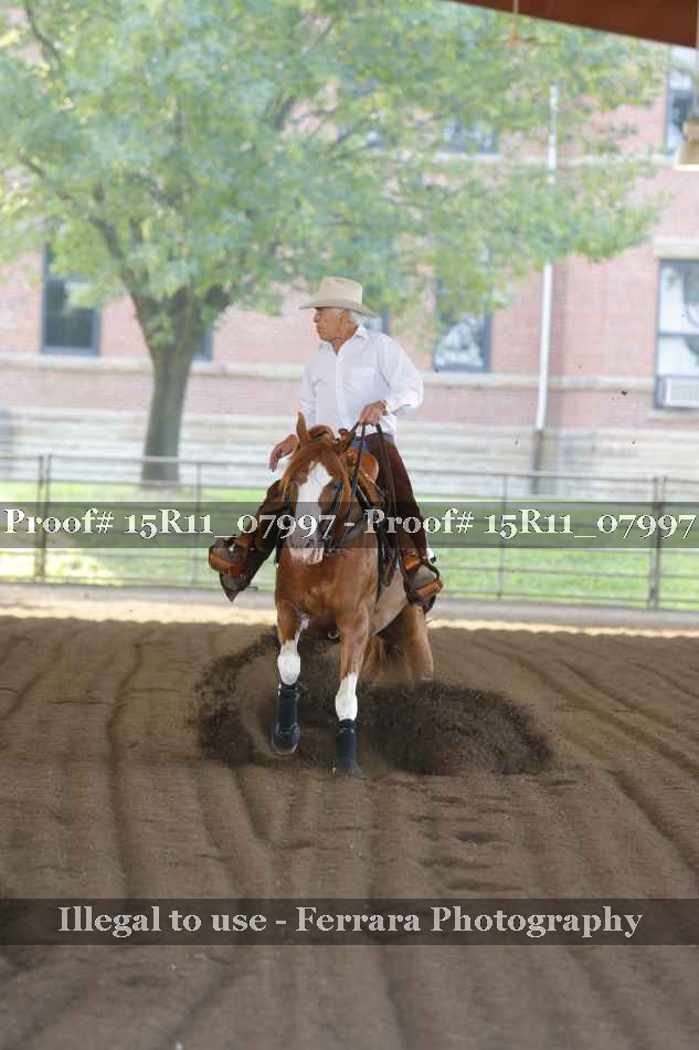 Proof 15R11_07997