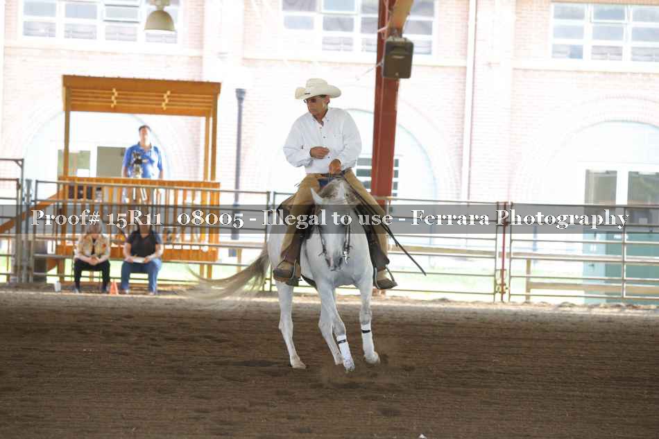 Proof 15R11_08005