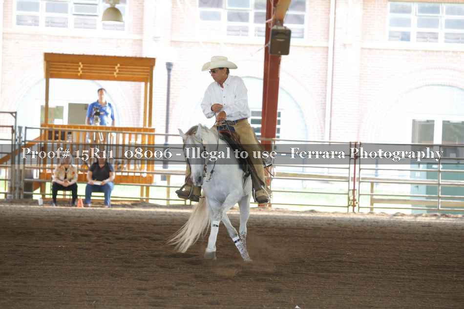 Proof 15R11_08006