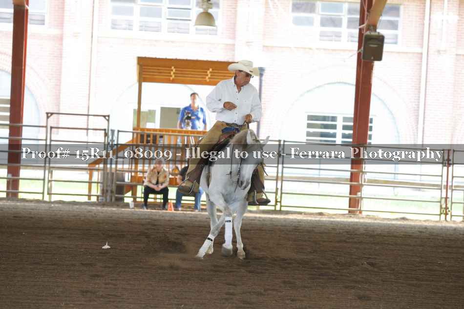Proof 15R11_08009
