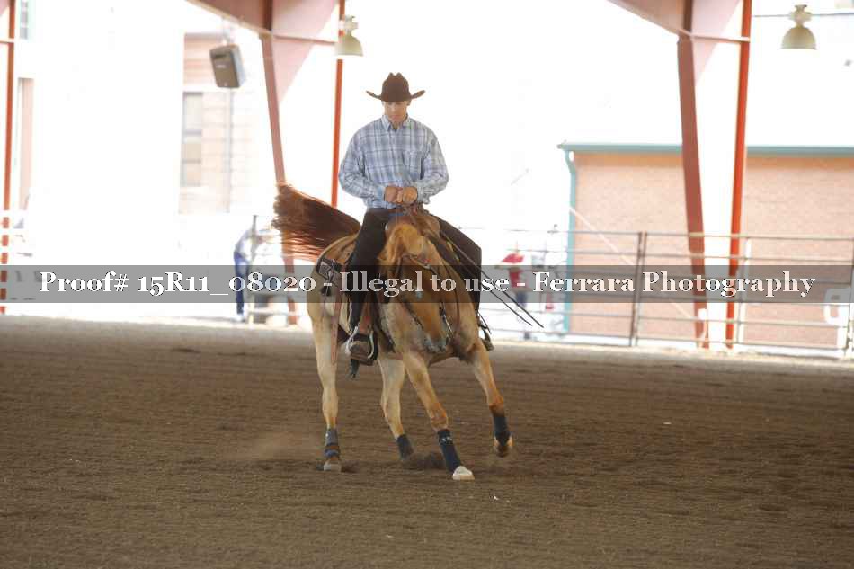 Proof 15R11_08020
