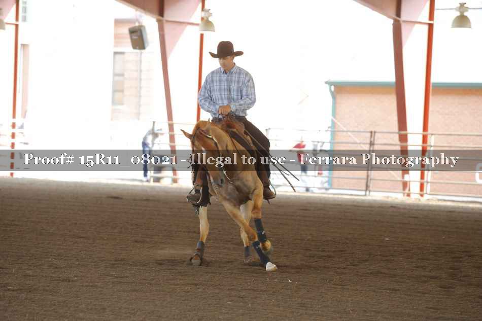 Proof 15R11_08021