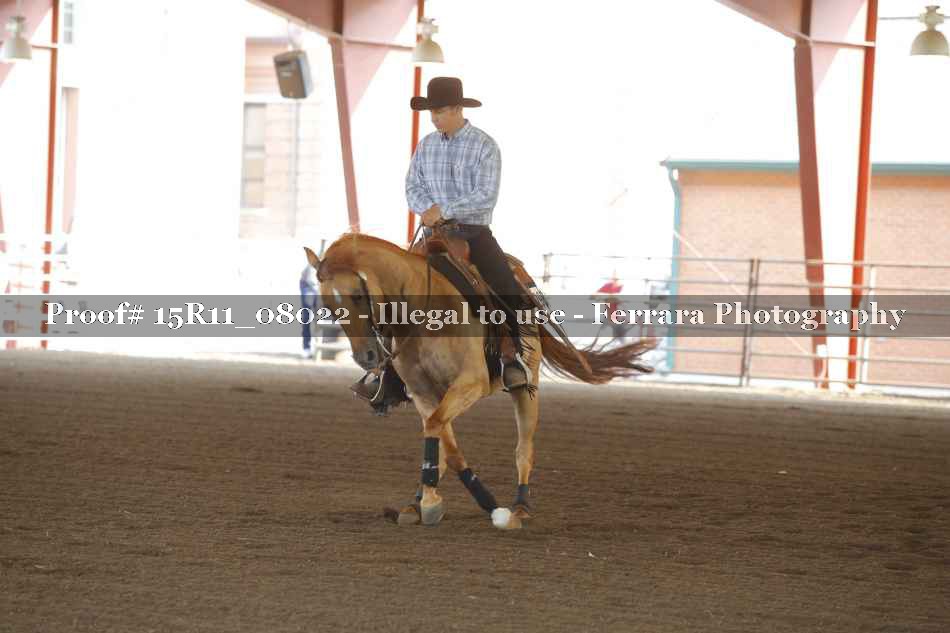 Proof 15R11_08022
