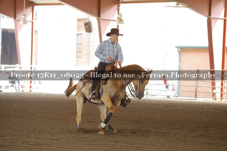 Proof 15R11_08023