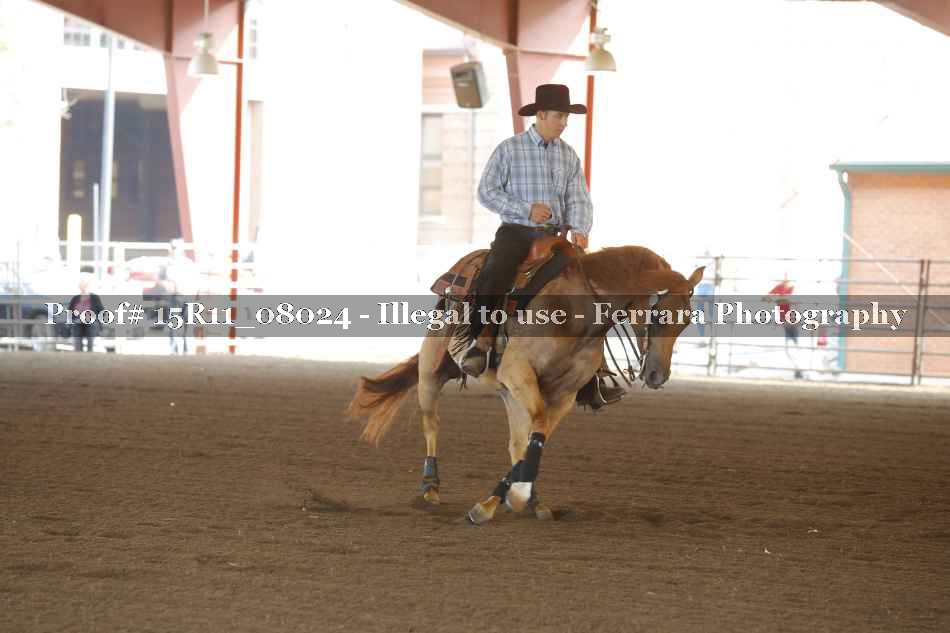 Proof 15R11_08024