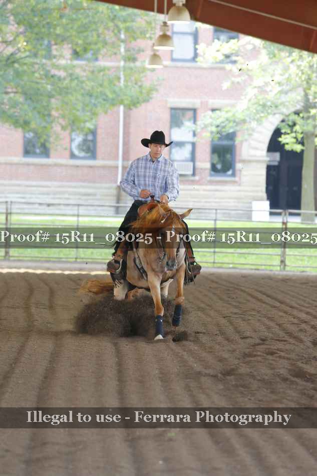 Proof 15R11_08025