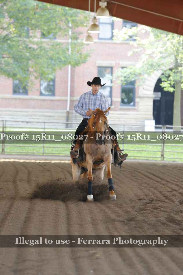 Proof 15R11_08027