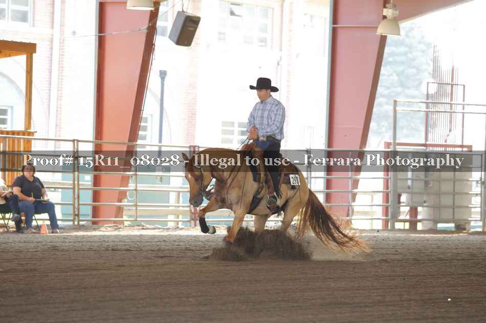 Proof 15R11_08028