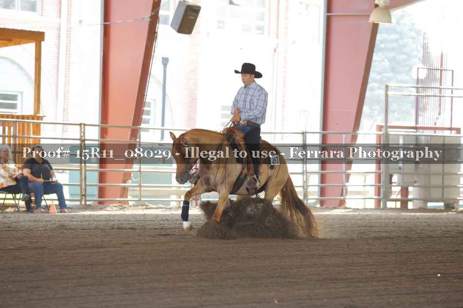 Proof 15R11_08029