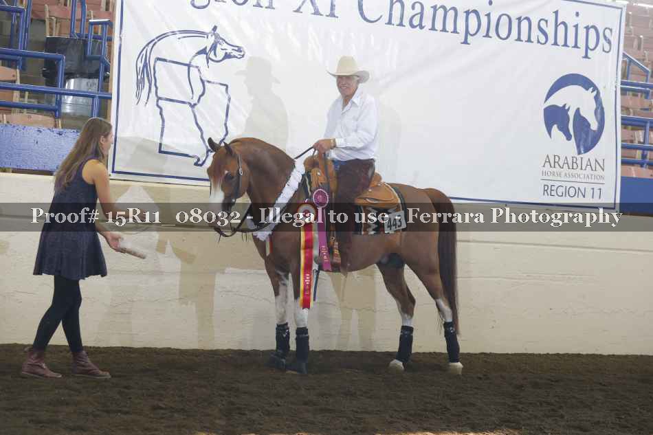 Proof 15R11_08032