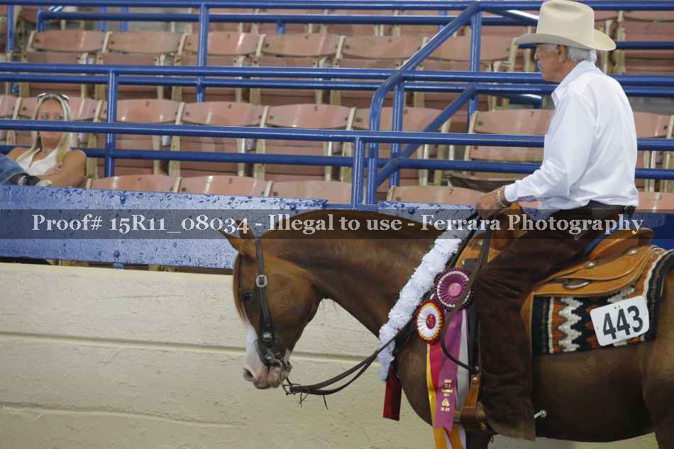 Proof 15R11_08034
