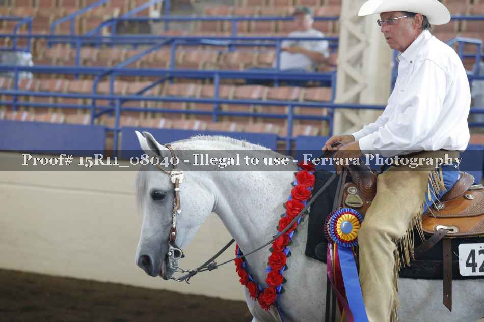 Proof 15R11_08040