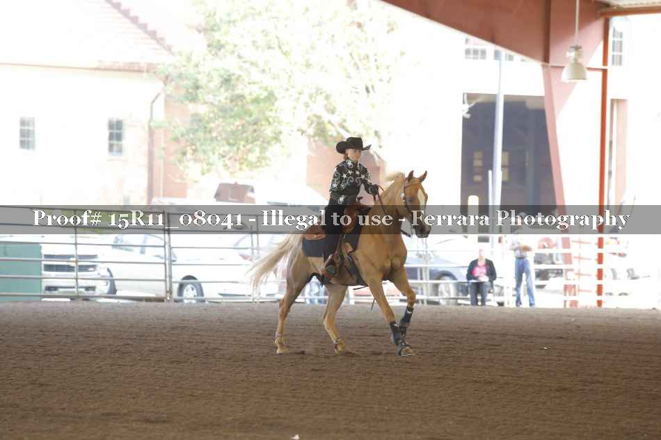 Proof 15R11_08041
