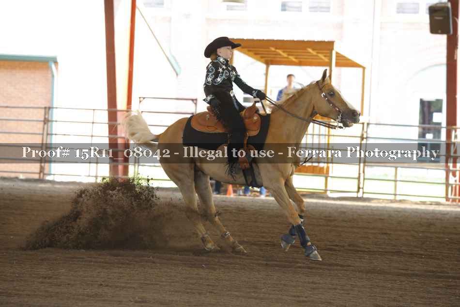 Proof 15R11_08042