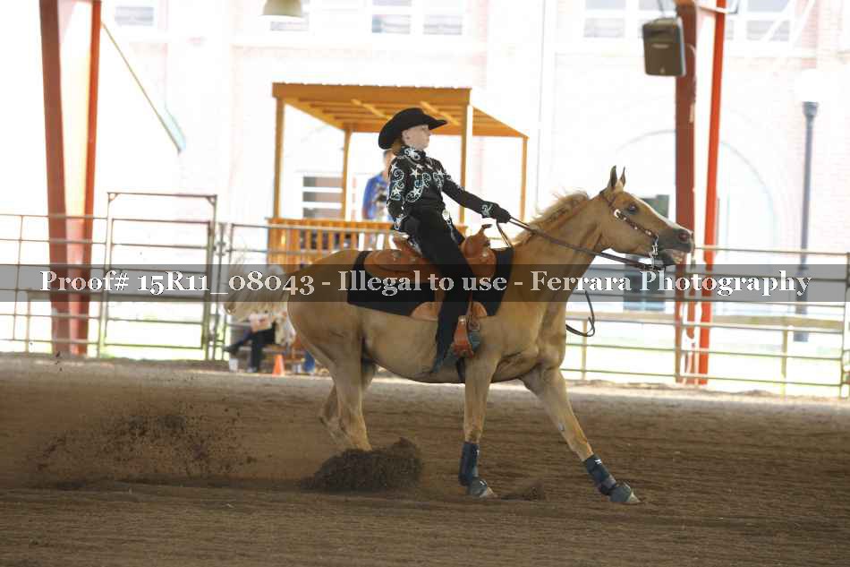 Proof 15R11_08043