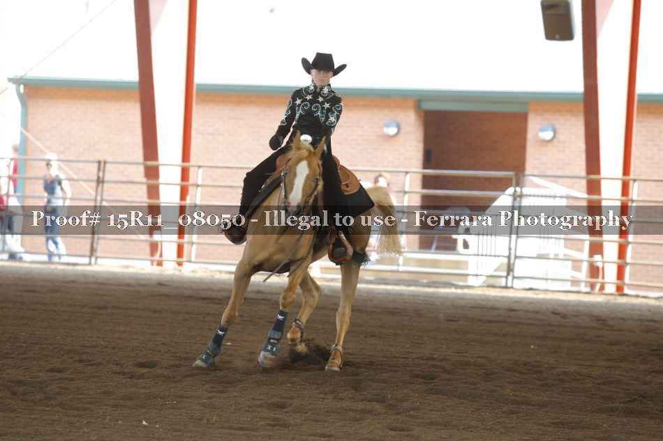 Proof 15R11_08050