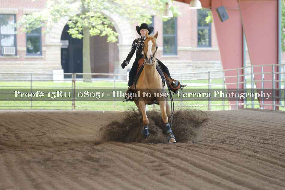 Proof 15R11_08051