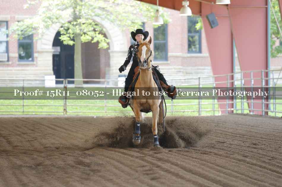 Proof 15R11_08052