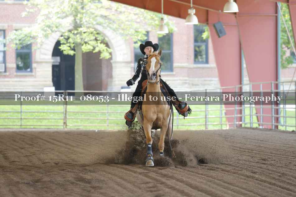 Proof 15R11_08053