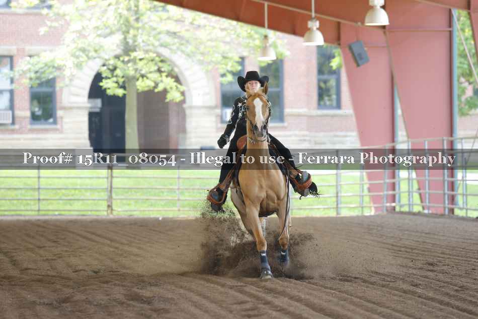 Proof 15R11_08054