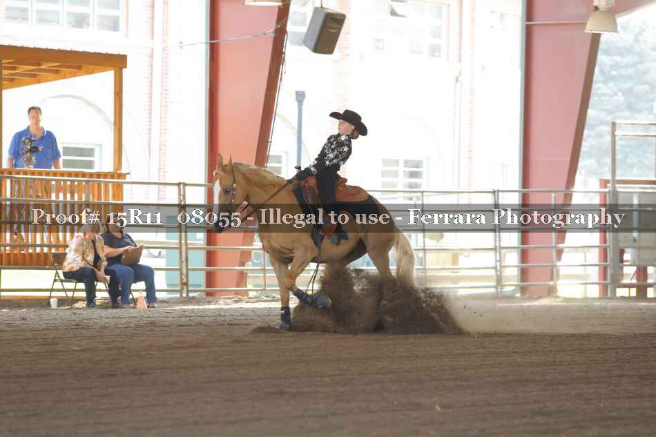 Proof 15R11_08055