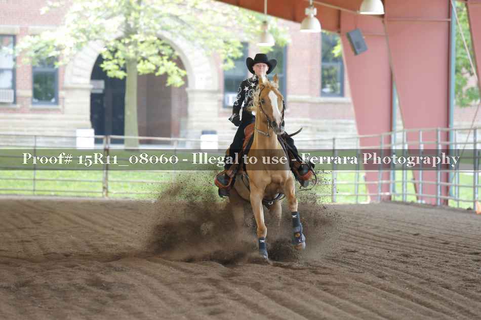 Proof 15R11_08060