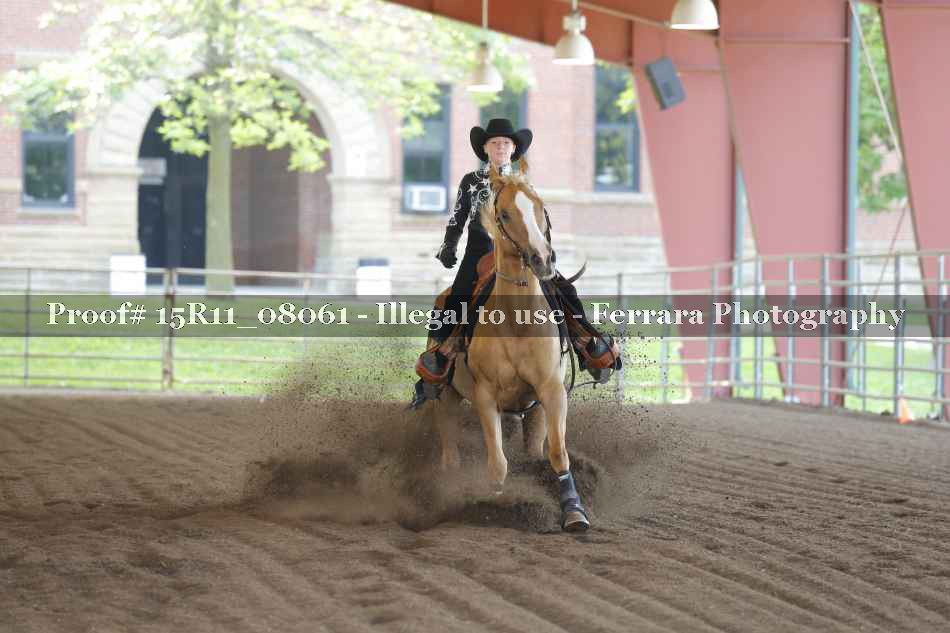 Proof 15R11_08061