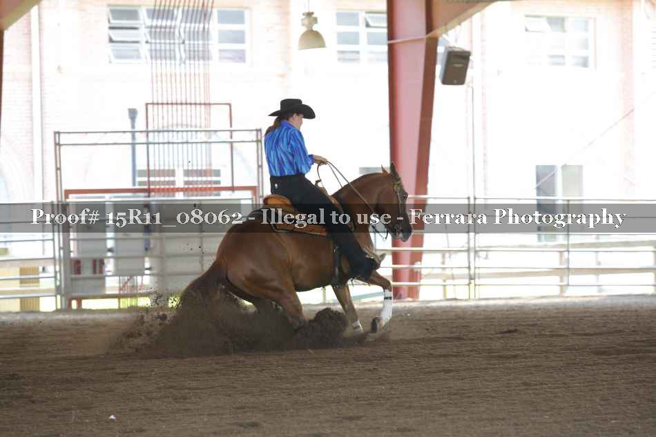 Proof 15R11_08062