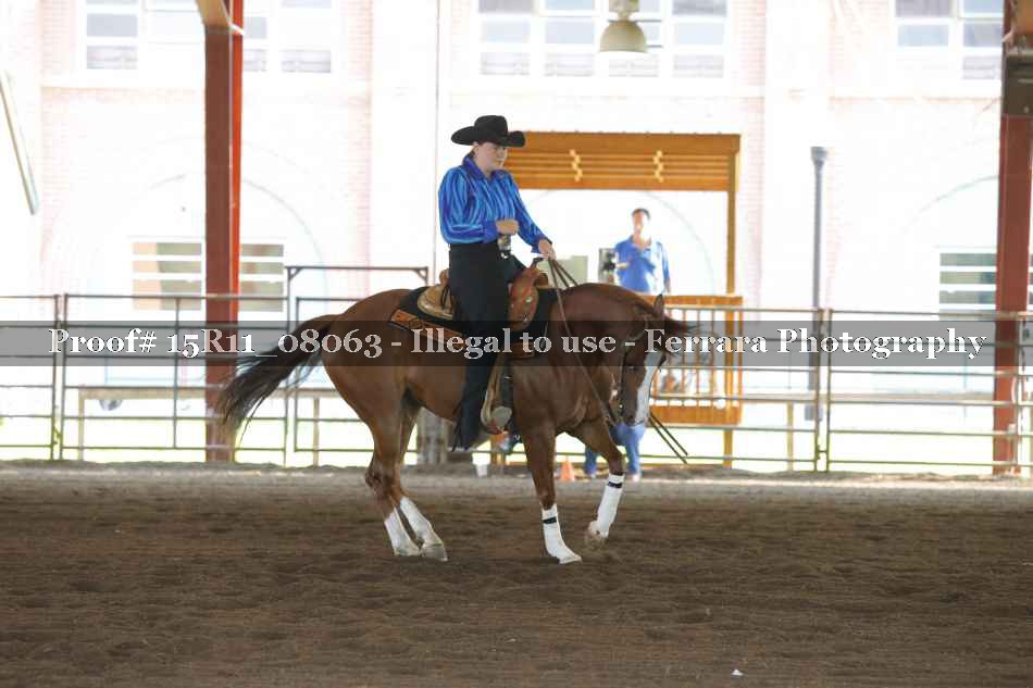 Proof 15R11_08063