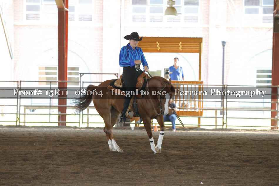 Proof 15R11_08064