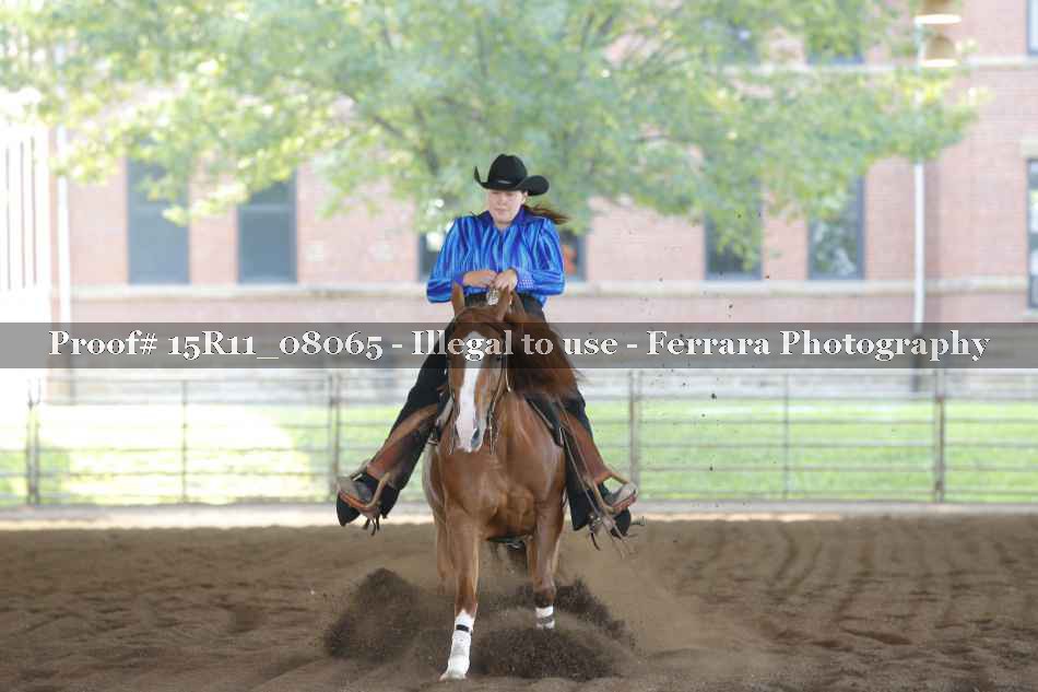 Proof 15R11_08065
