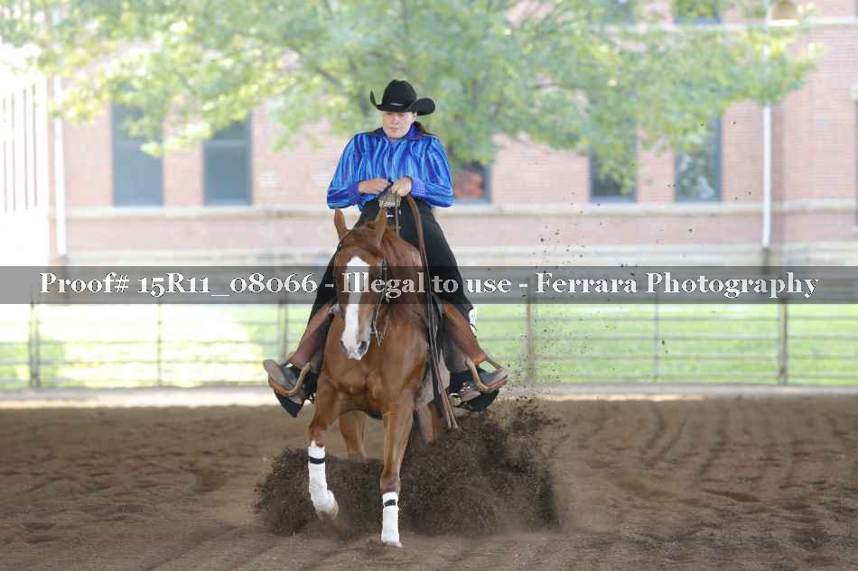 Proof 15R11_08066