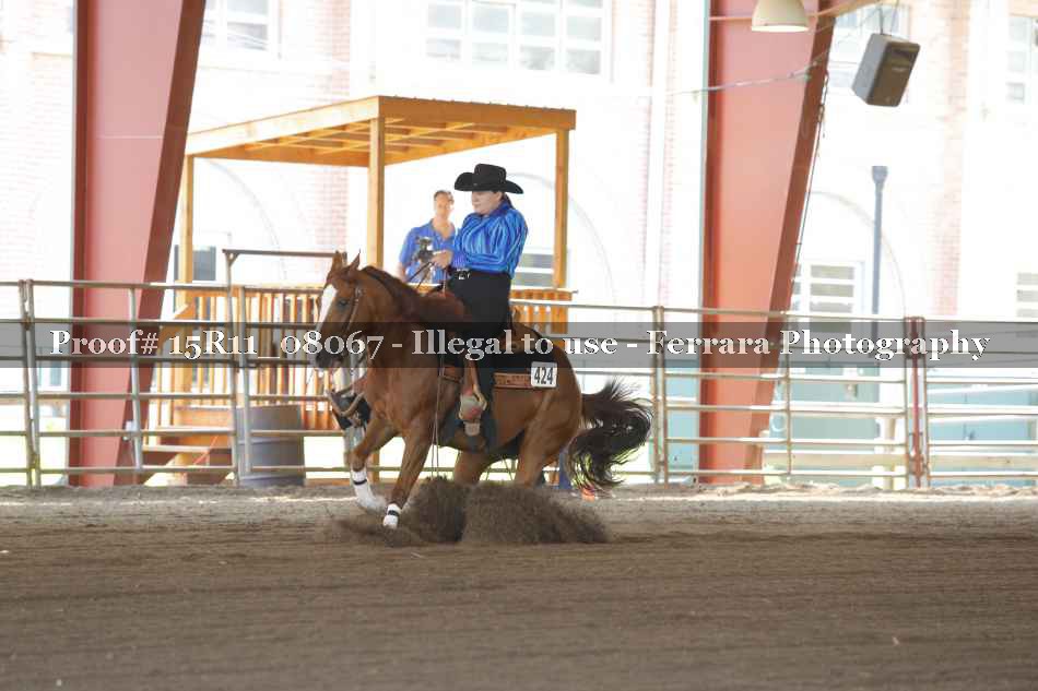 Proof 15R11_08067