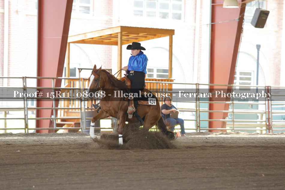 Proof 15R11_08068